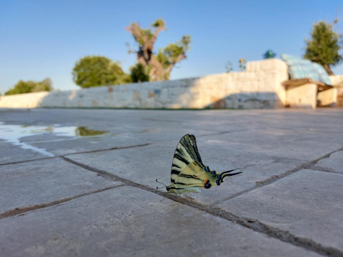 Dimora Carucci Διαμέρισμα Νότσι Εξωτερικό φωτογραφία